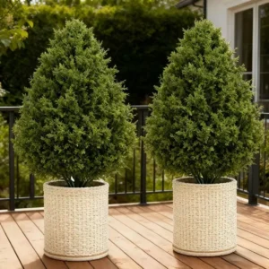 Artificial Cedar Topiary Trees 2 Pack,
