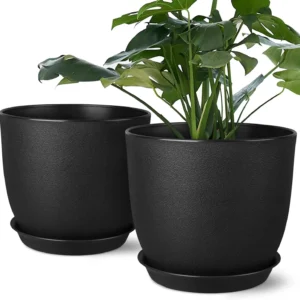 8 Inch Set flower Pots