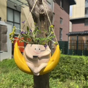 Resin Hanging Swing Chair Planter