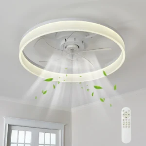 19.7-inch Ceiling Fan With Light